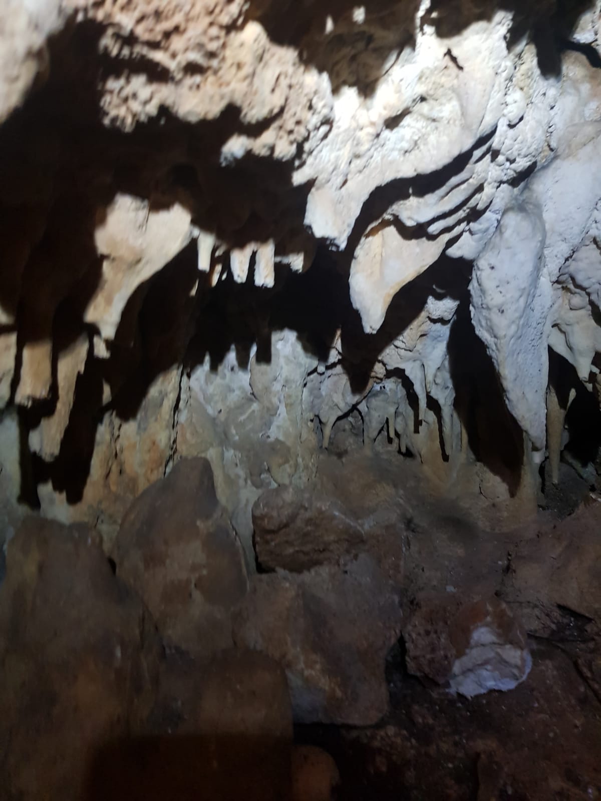 Peștera cu Săritori - Image 2